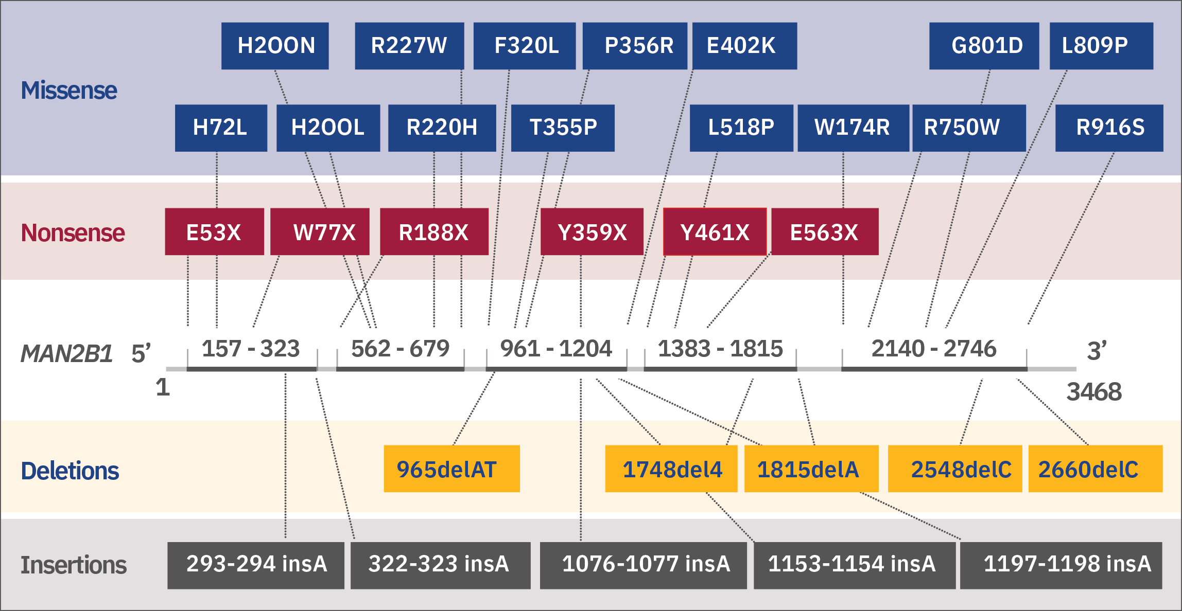 Mutations in MAN2B1